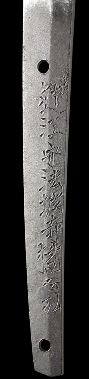 近江守法城寺橘正弘・茎